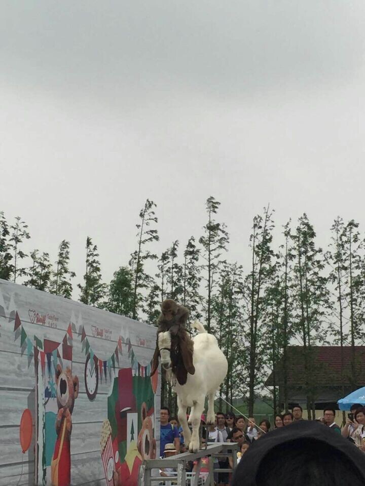 28圈官网版-创意平台,注册畅享文化之梦!