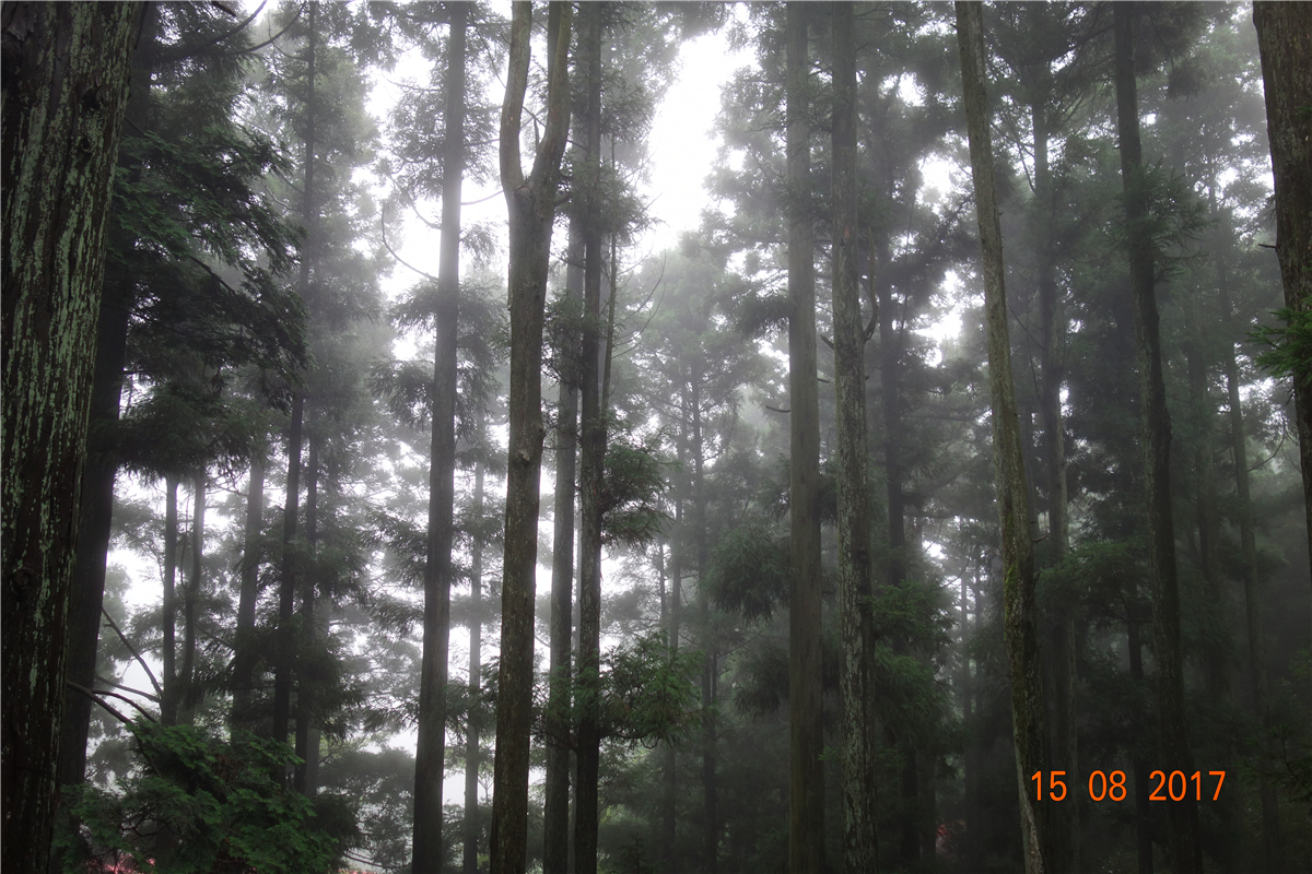 28圈官网版-创意平台,注册畅享文化之梦!