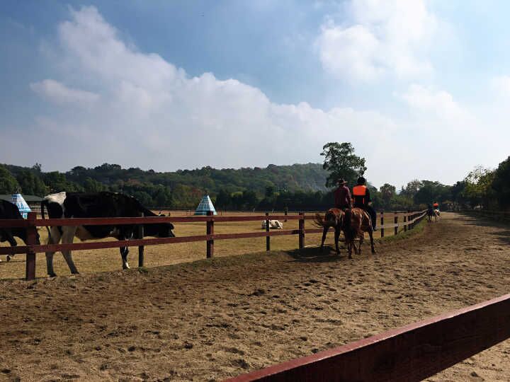 28圈官网版-创意平台,注册畅享文化之梦!